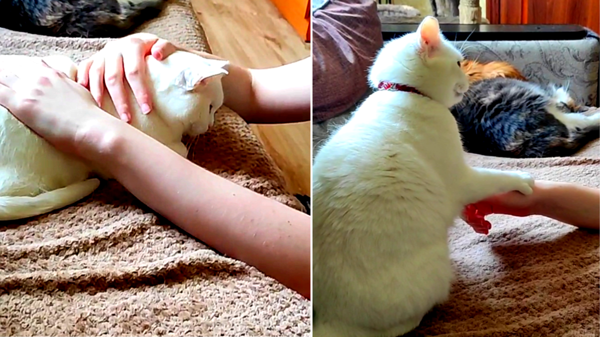 Запачкал меня, негодник! А я только помылась! 