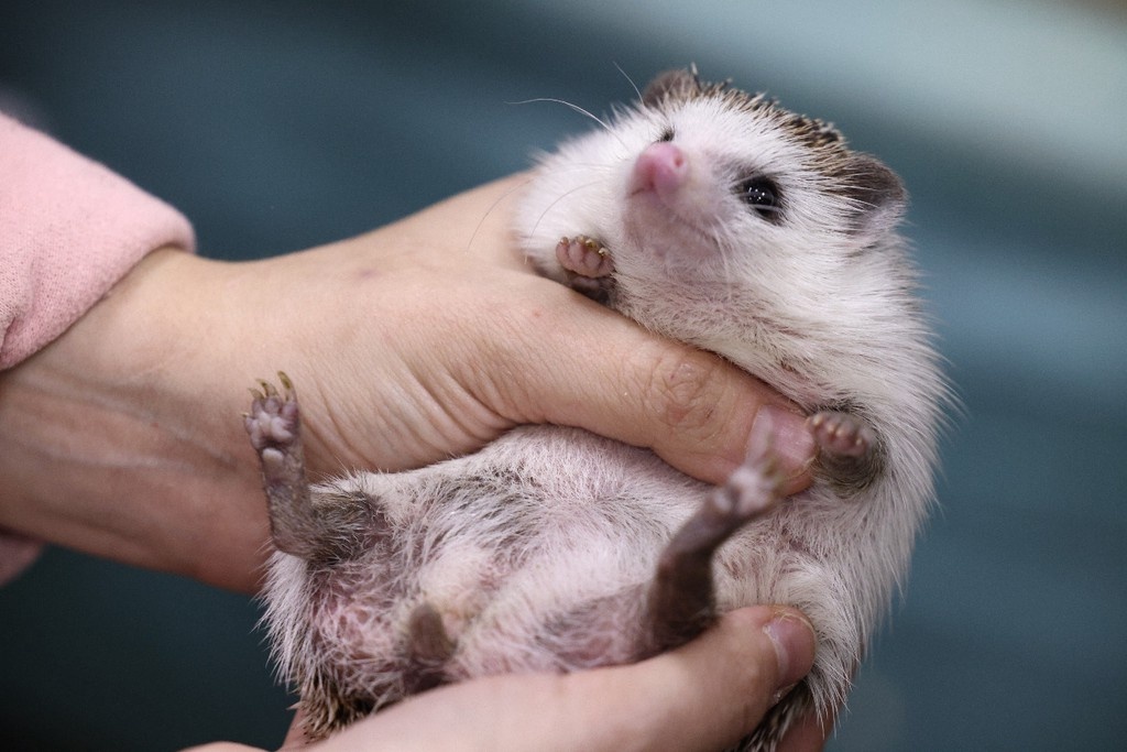    Фото © Анастасия Романова / Абзац