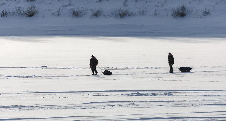    Зимняя рыбалка на канале имени Москвы в Дубне / Медиасток.рф