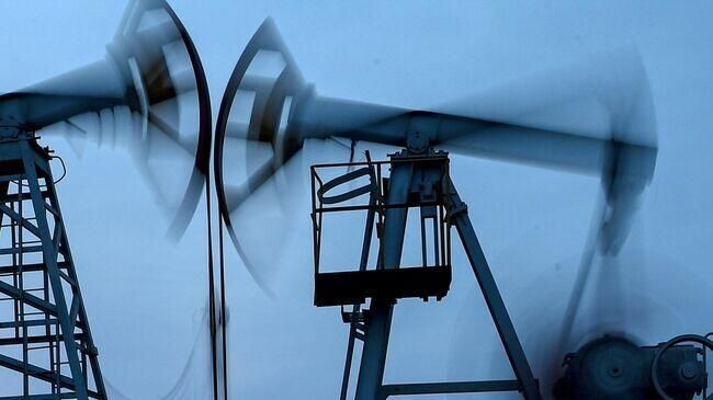    РИА «Новости»