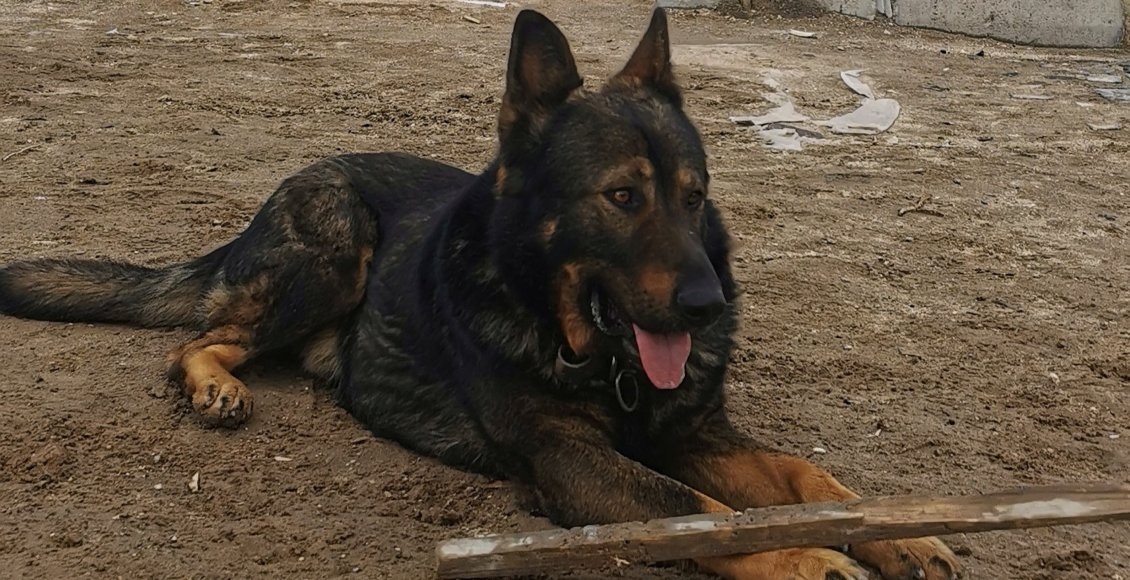    Фото: НИА "Экология"