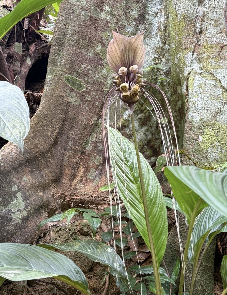 Смотрите, какие шикарные усы