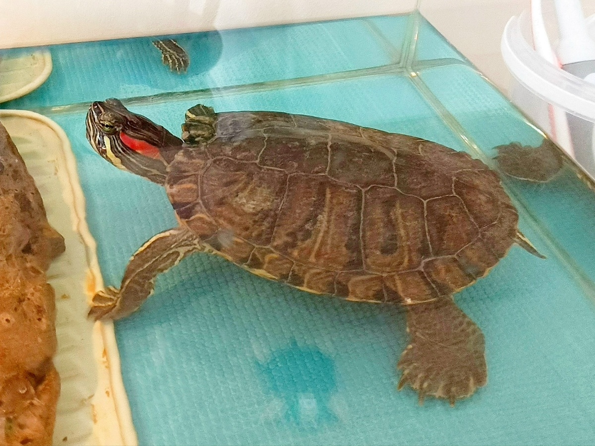    Управление труда и занятости Карелии / VK