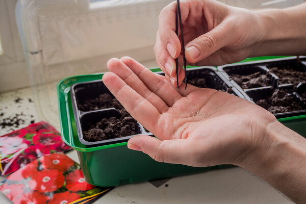 Mira_mira18/Shutterstock/FOTODOM   📷