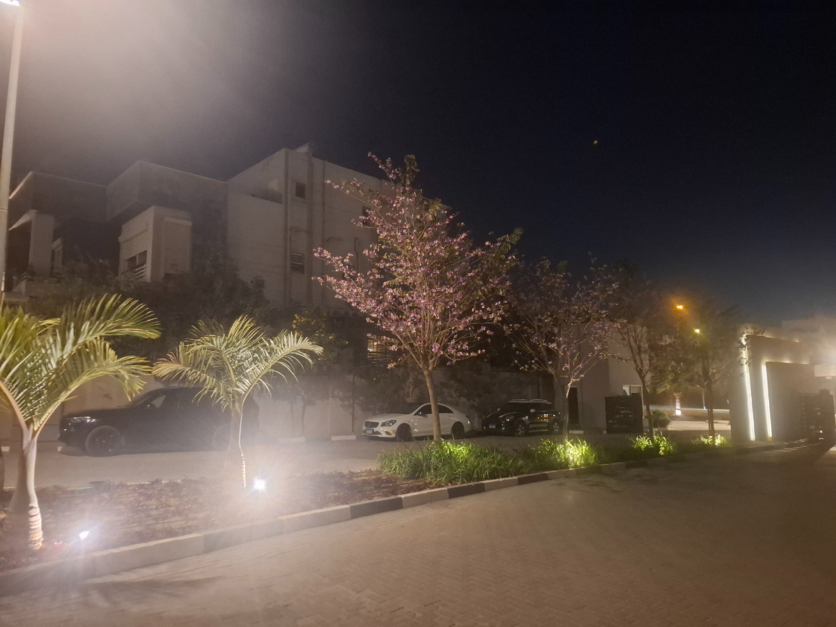 В Египте весна идет, "сады" цветут :)