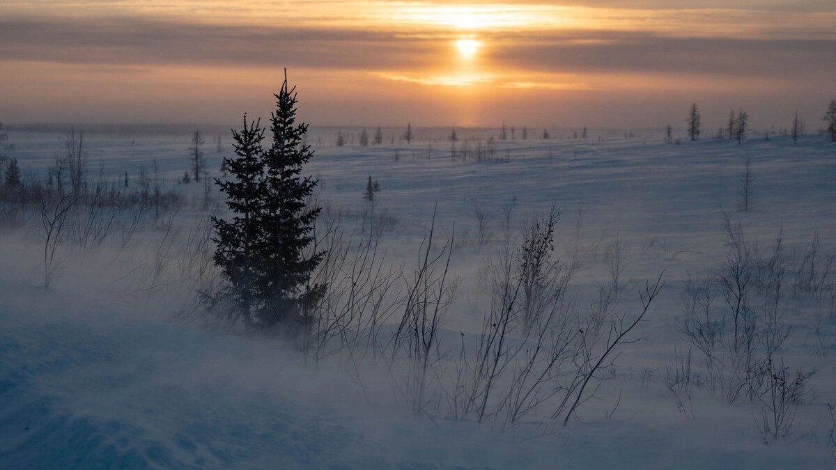    Фото: Сергей Зубков/«Ямал-Медиа»