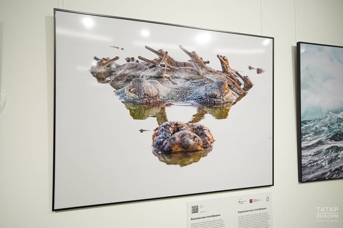 Фото: © Владимир Васильев / «Татар-информ»