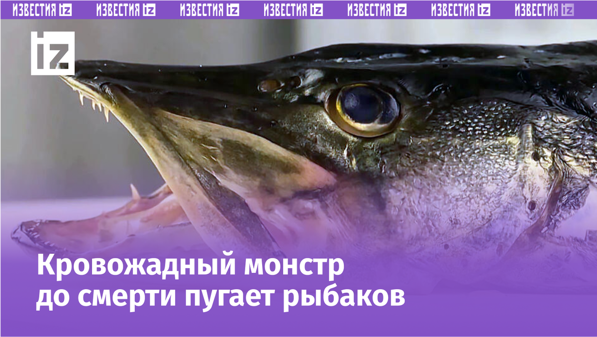 Фото: © Кадр из программы "Загадки человечества", РЕН ТВ