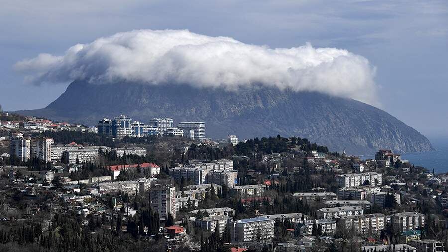    Фото: РИА Новости/Алексей Мальгавко