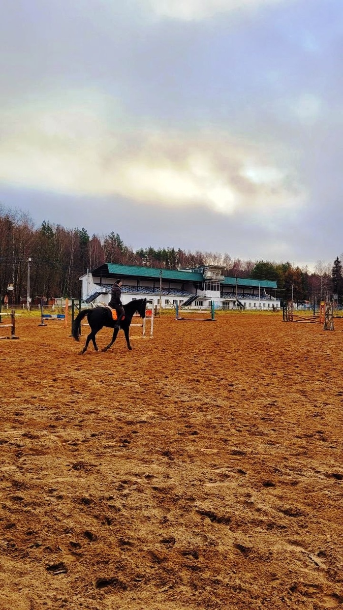 Тренировки на Костромском ипподроме