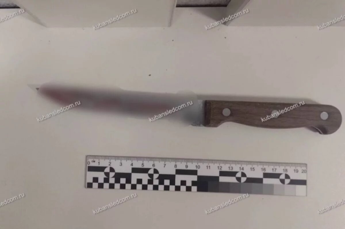    Женщина вонзила нож в грудь мужа во время празднования 8 Марта в Анапе