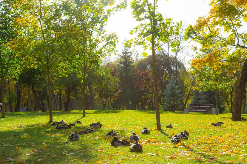 Фото: ПАИ. Фото носит иллюстративный характер