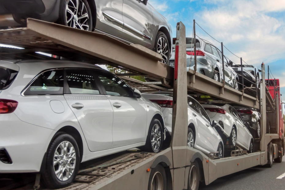    Shutterstock/FOTODOM