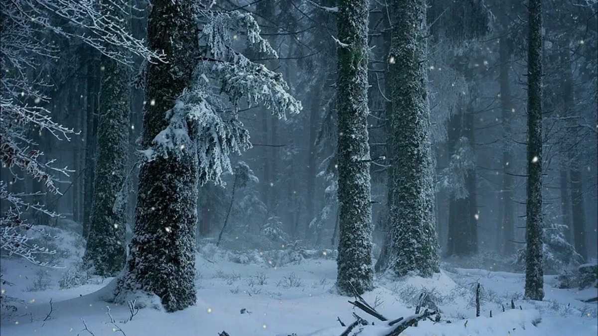 Зимний лес величественен и суров: здесь тихо