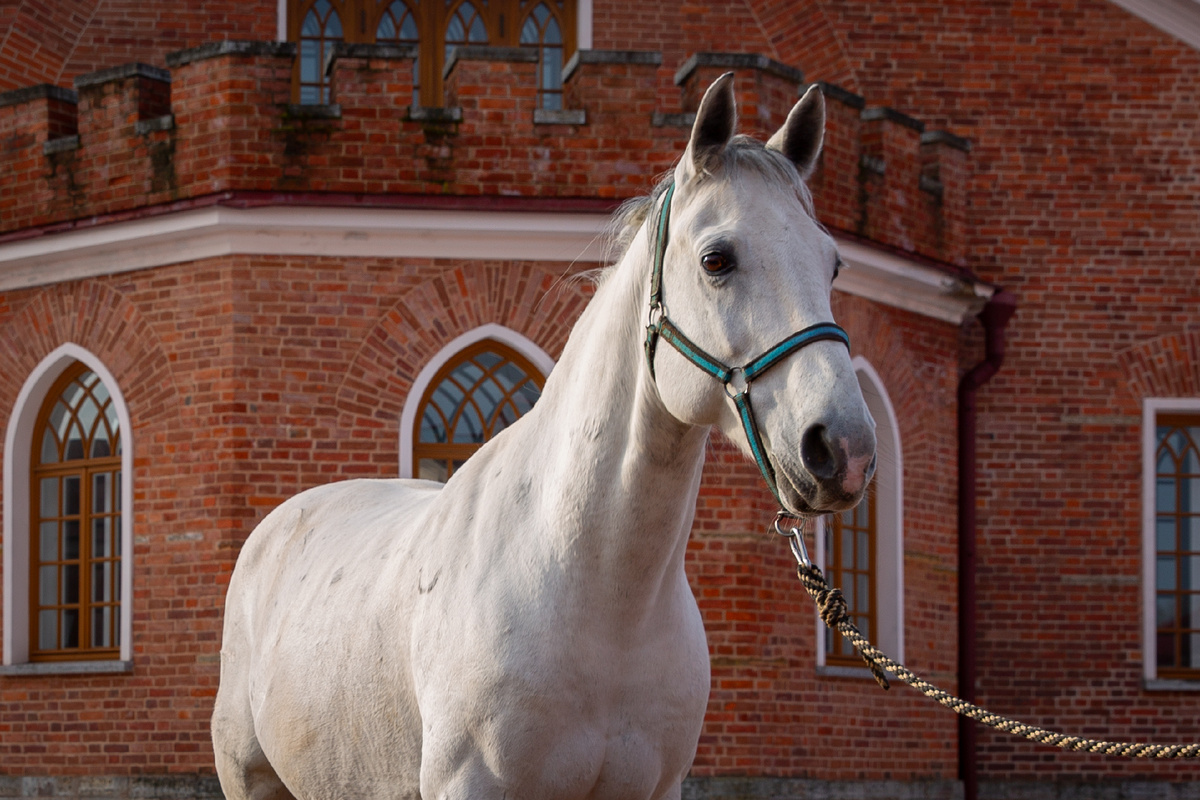  Фото: ГМЗ "Царское Село", Екатерина Новак