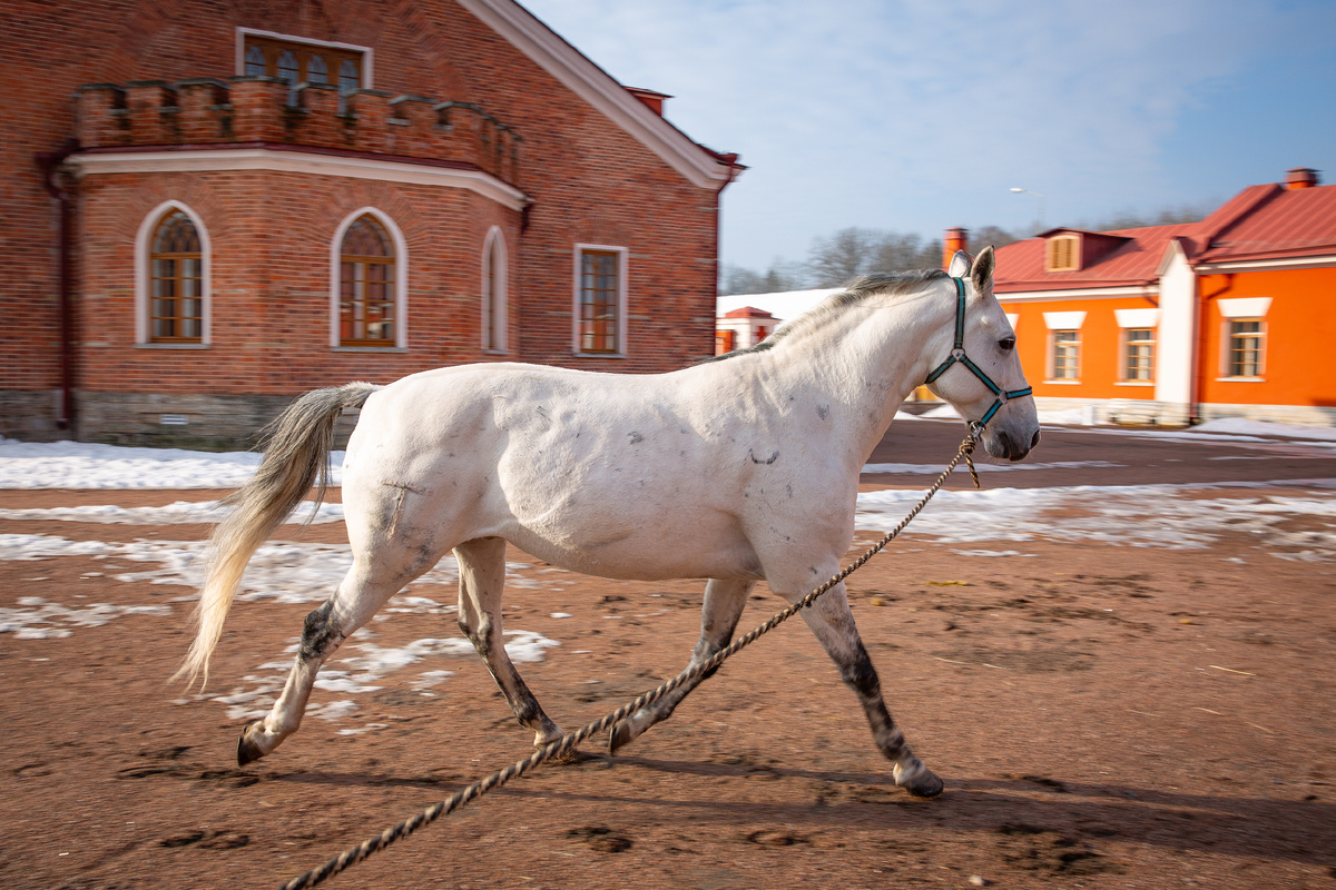  Фото: ГМЗ "Царское Село", Екатерина Новак