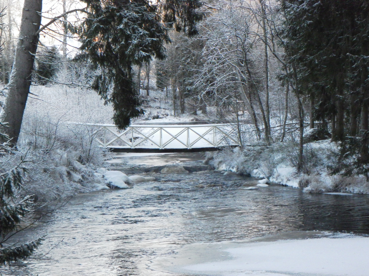 Река Перовка