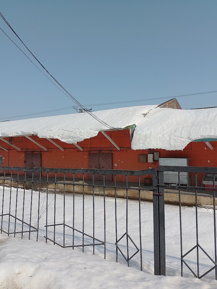 Фото автора.