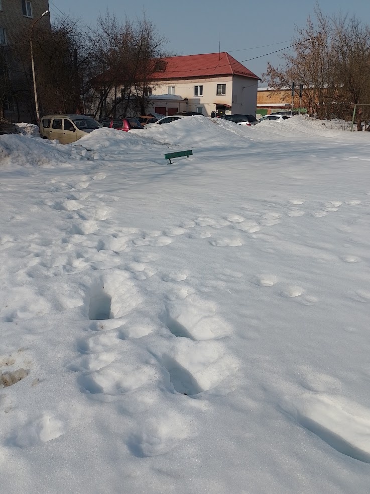 Фото автора.