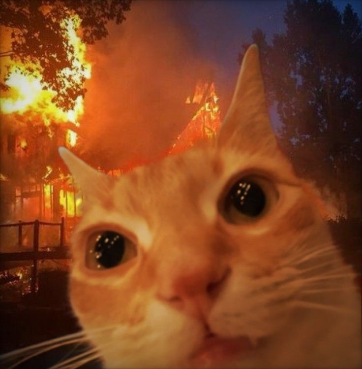 
pov: собственники БФЛ-компаний в 2026 году
