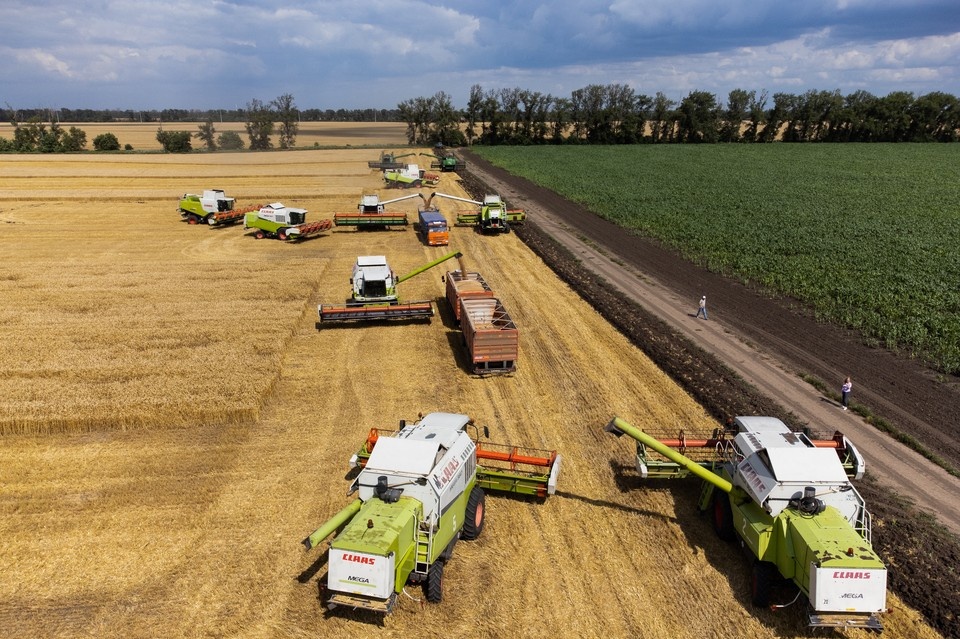    Поля Краснодарского края Виталий ТИМКИВ