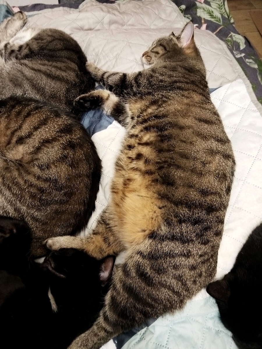 Я такая красивая:)