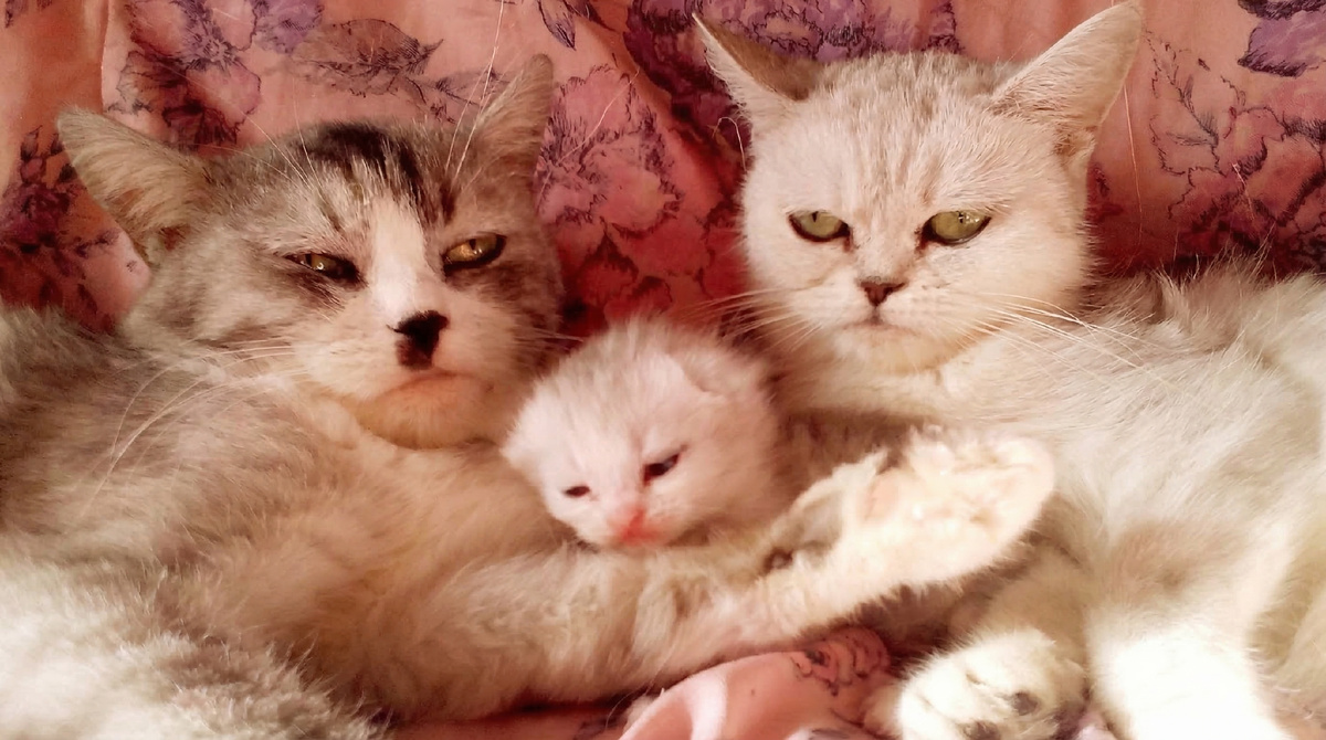 Когда у вас активный ребёнок и вы очень не высыпаетесь