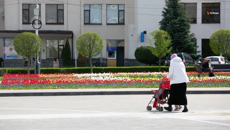      Фото: Валерия Алтухова / / ИА «Победа26»