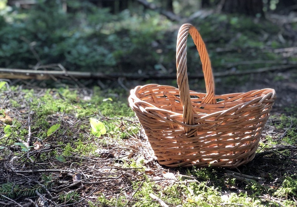    Фото: Мойка78/Вероника Смирнова