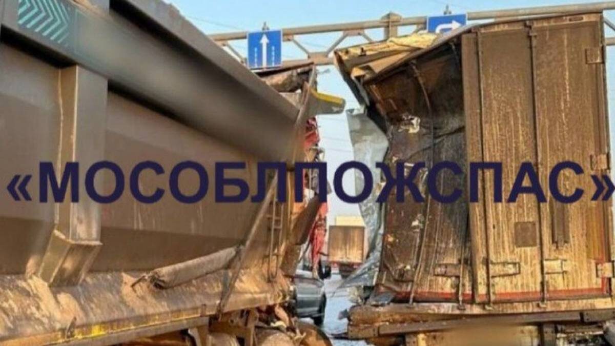    Фото: ГКУ МО «Мособлпожспас» / Telegram