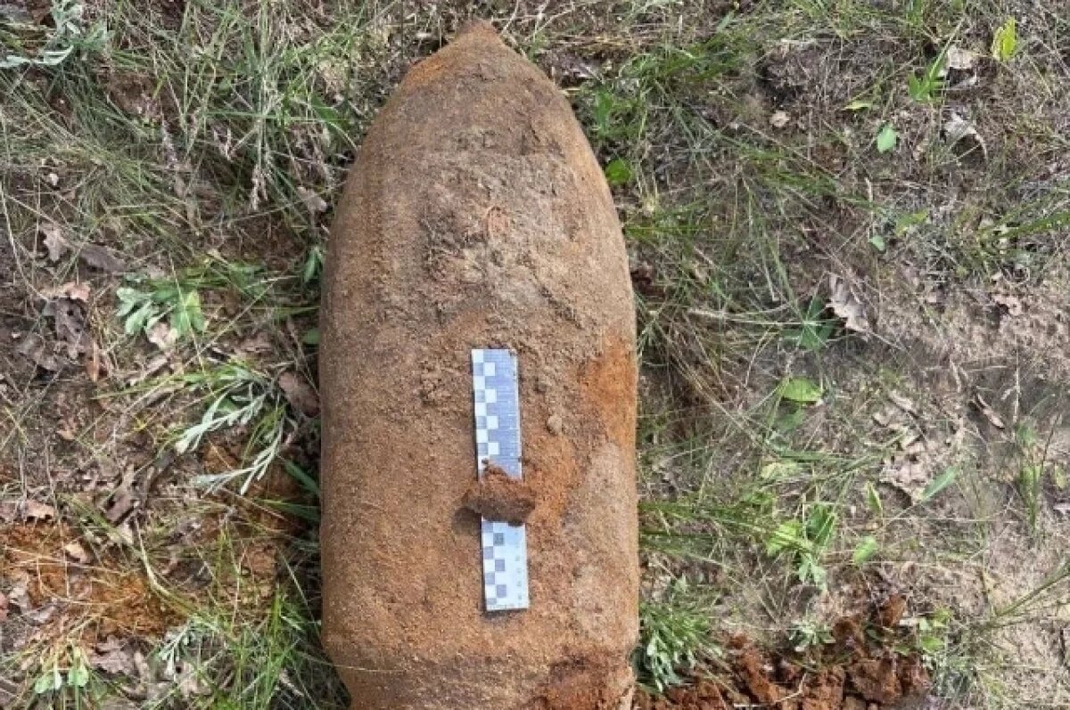    С начала года на Дону обнаружили и обезвредили шесть боеприпасов