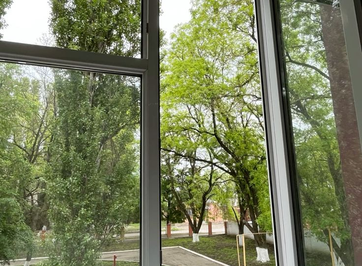 Почему открытые окна не спасают от пыли и аллергенов