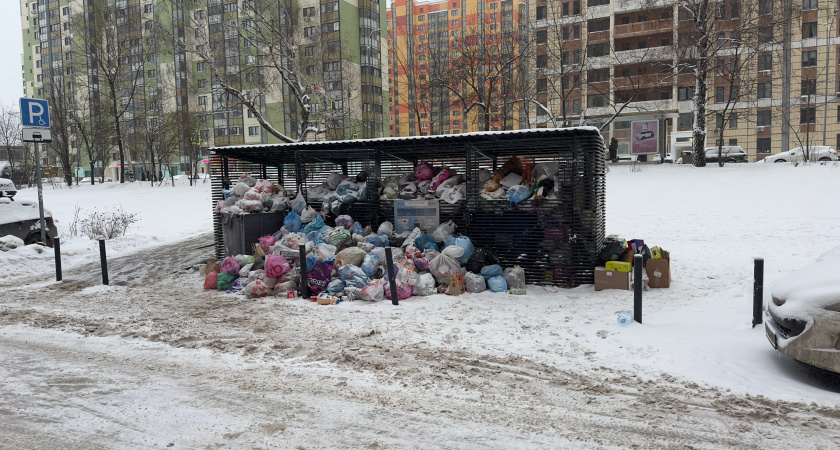    Фото progorod43.ru