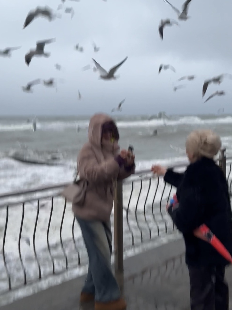 В такую погоду всегда найдется добрая бабушка, которая поделится едой для чаек.