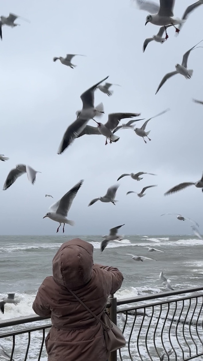 На Балтике ветер иногда такой, что прогулка превращается в контролируемый боковой полёт.