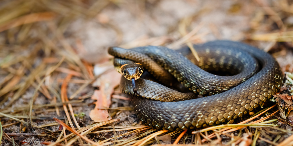 Фото: Shutterstock