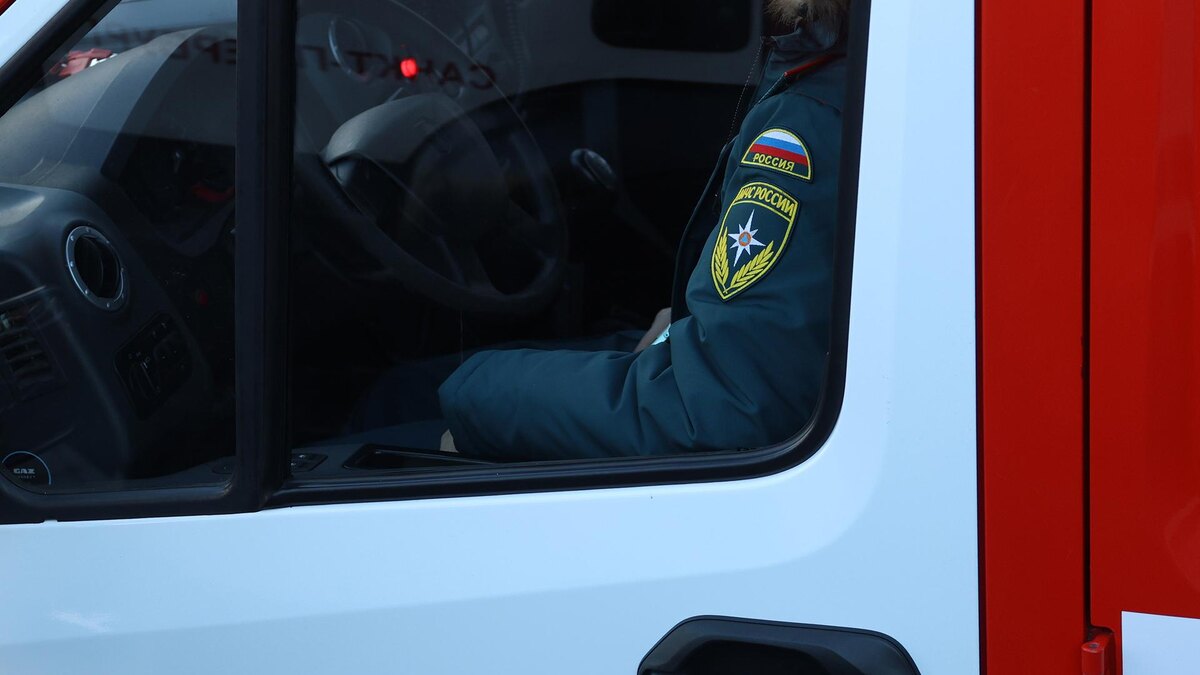    Фото: ИЗВЕСТИЯ/Евгений Павлов