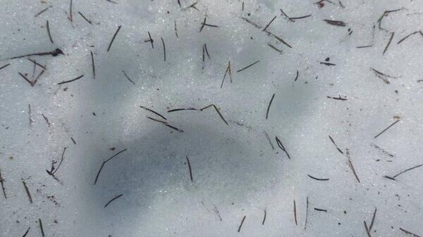    © Photo : Александр Рак