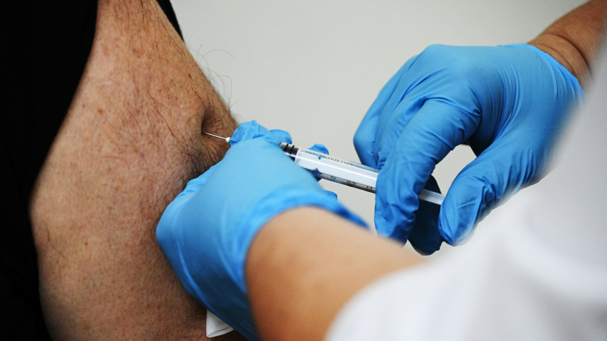    Фото: © РИА Новости/Константин Михальчевский; 5-tv.ru