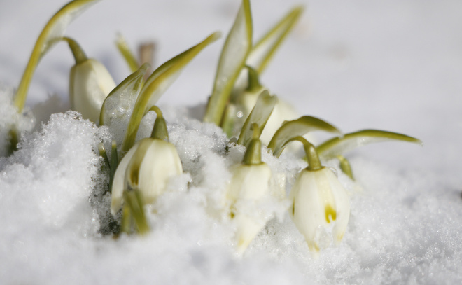    © Baltphoto/ Вероника Перминова