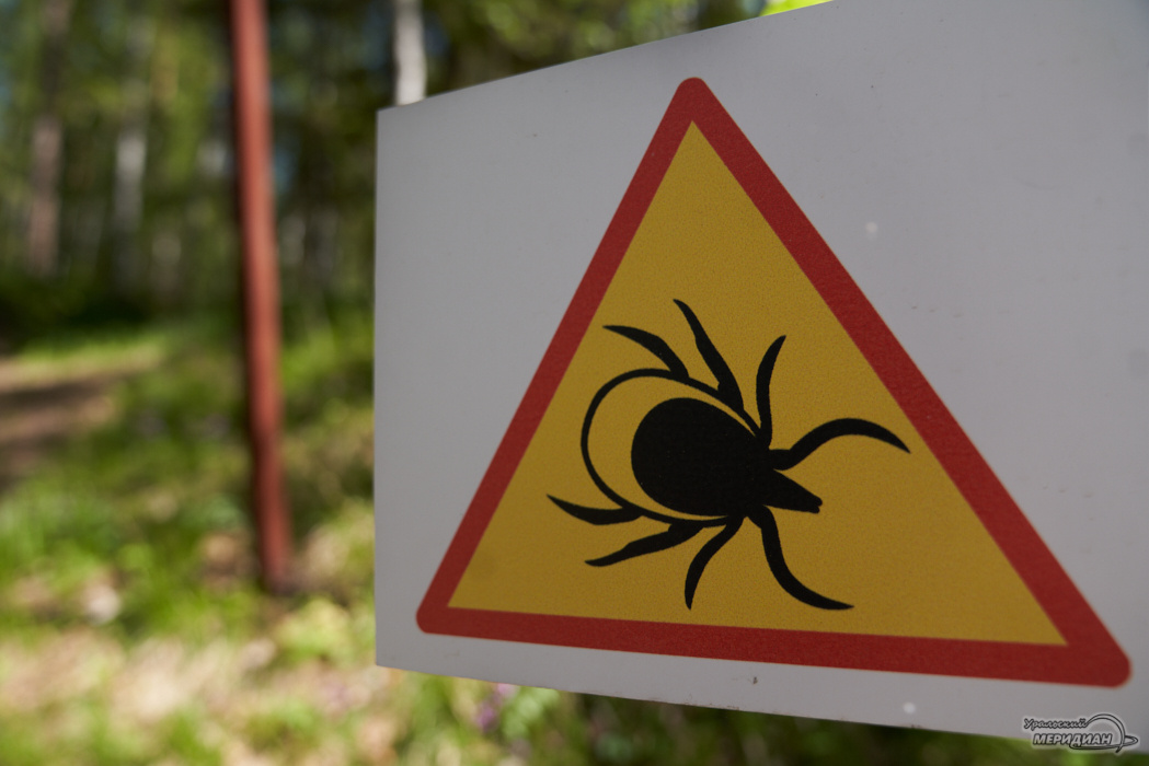    Фото: Лидия Аникина © ИА «Уральский меридиан»