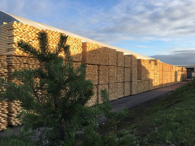    фото: © Минприроды Карелии / Фото иллюстративное