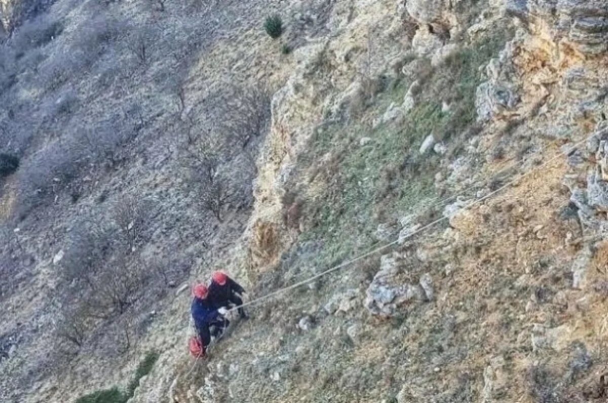    Девушка сорвалась с 15-метровой высоты на мысе Фиолент в Севастополе