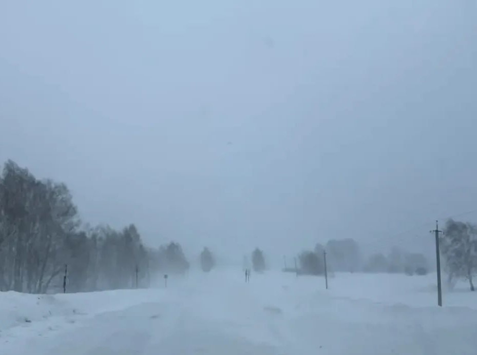    Фото пресс-службы ТУАД Новосибирской области