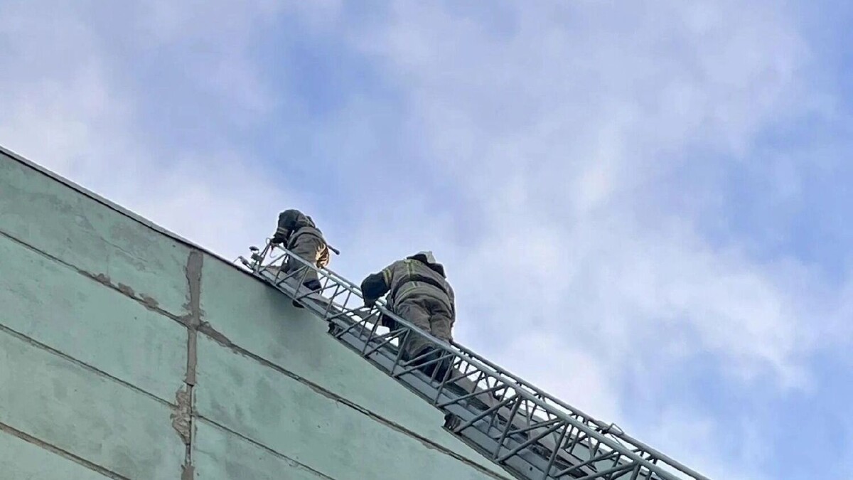    Добираться к месту возгорания пожарным пришлось по автолестнице   ГУ МЧС России по Ростовской области