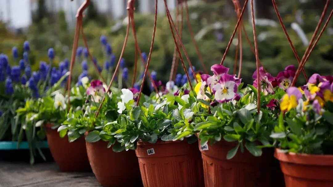 Фото: REGIONS/Наталья Надточая