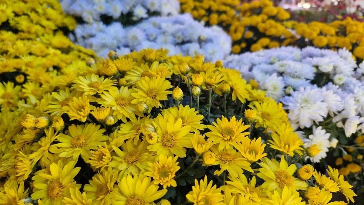 / Фото: REGIONS/Наталья Надточая