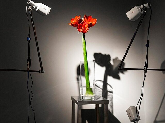    Фото: портал мэра и правительства Москвы