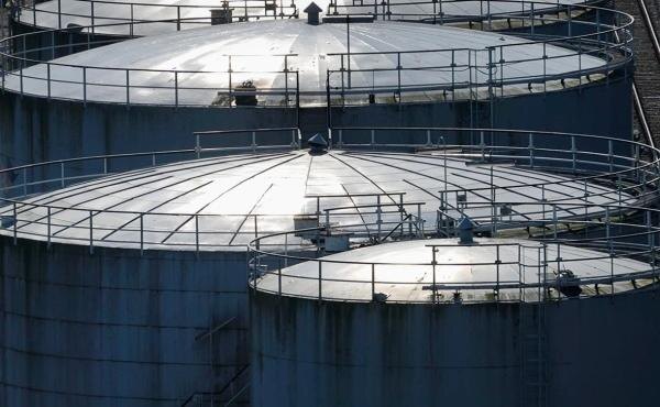    Фото: Michael Dietrich / imagebroker.com / Global Look Press Редакция