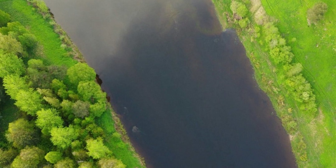 На проект расчистки Волги и восстановления зон подтопления в Займище потратят 15 млн рублей